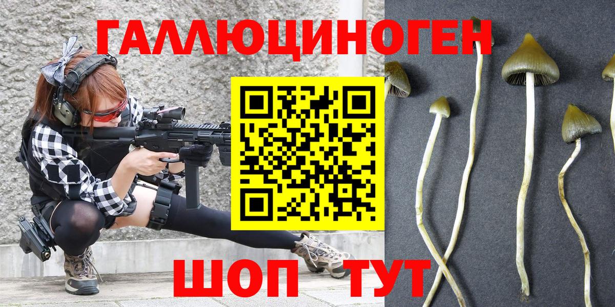 Галлюциногенные грибы GOLDEN TEACHER Коркино