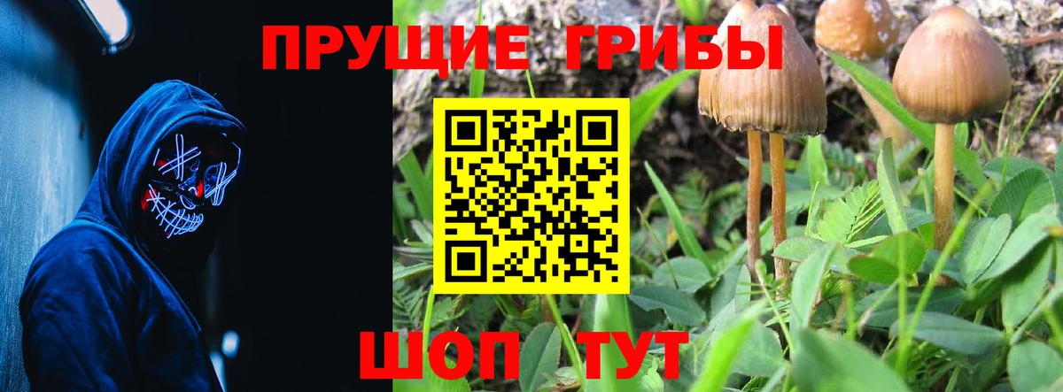 Галлюциногенные грибы мицелий  Галлюциногенные грибы Cubensis  Коркино  Вход с VPN 